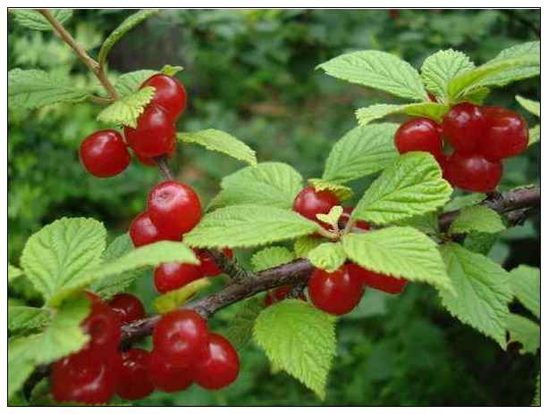 點擊新（xīn）窗口打開（kāi）大圖