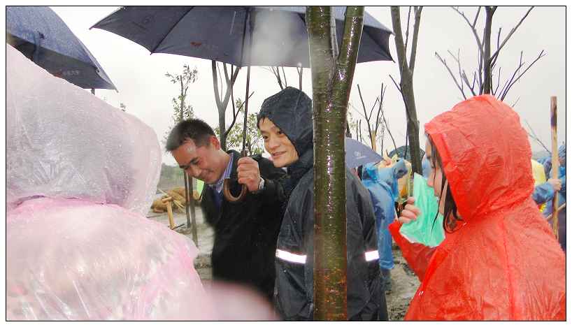 彩鋼板公司相聚杭州 與馬雲一起植樹