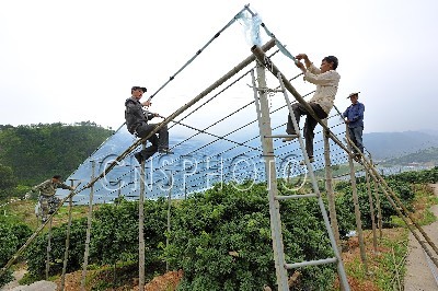 天（tiān）地（dì）彩鋼